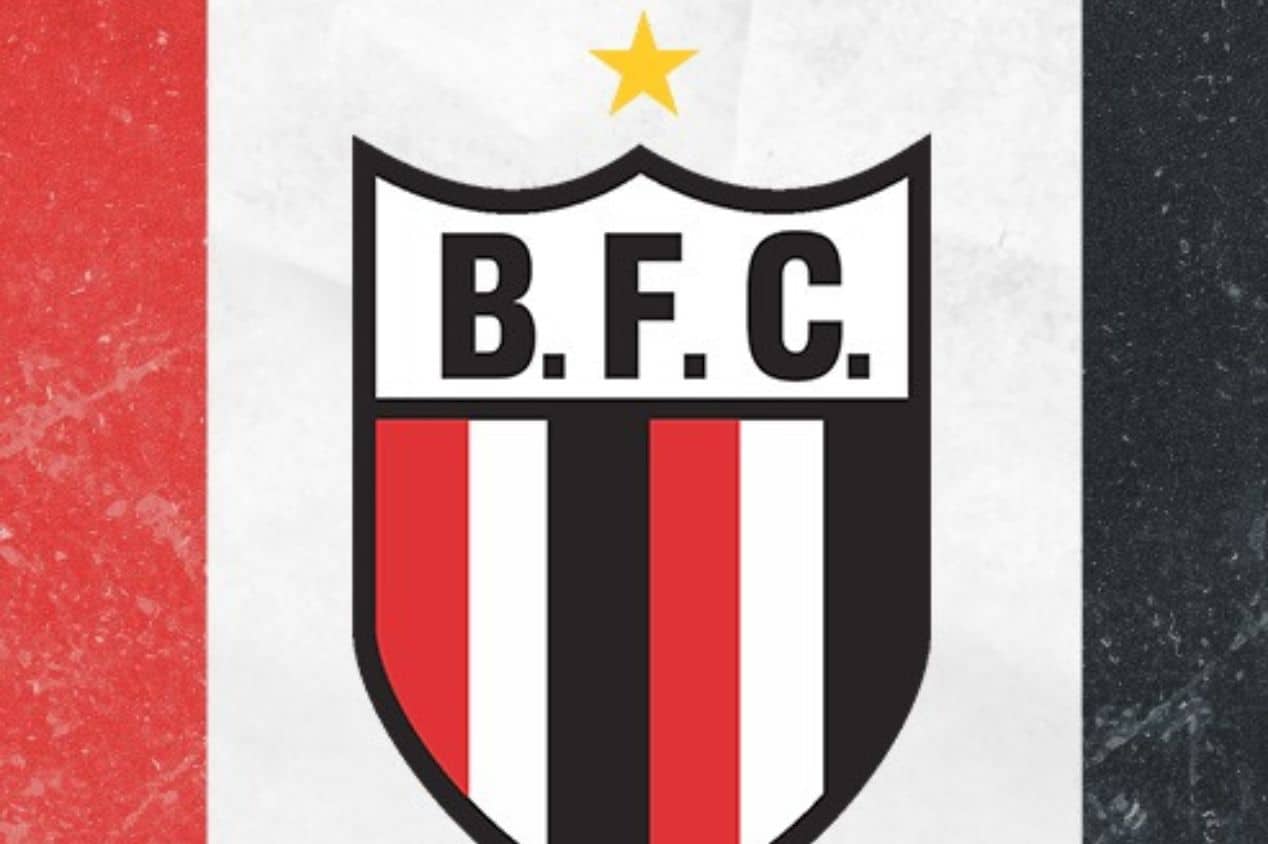 Botafogo-SP depende de dupla paulista no Brasileirão para garantir vaga na  Copa do Brasil de 2024